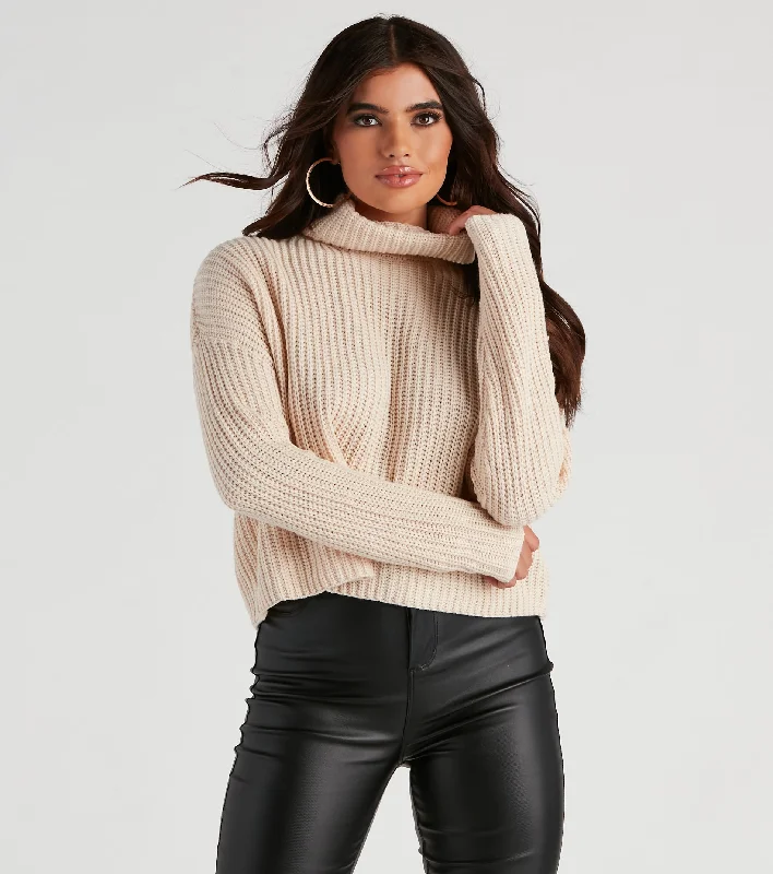 Best Bargains Autumn Air Turtleneck Knit Sweater