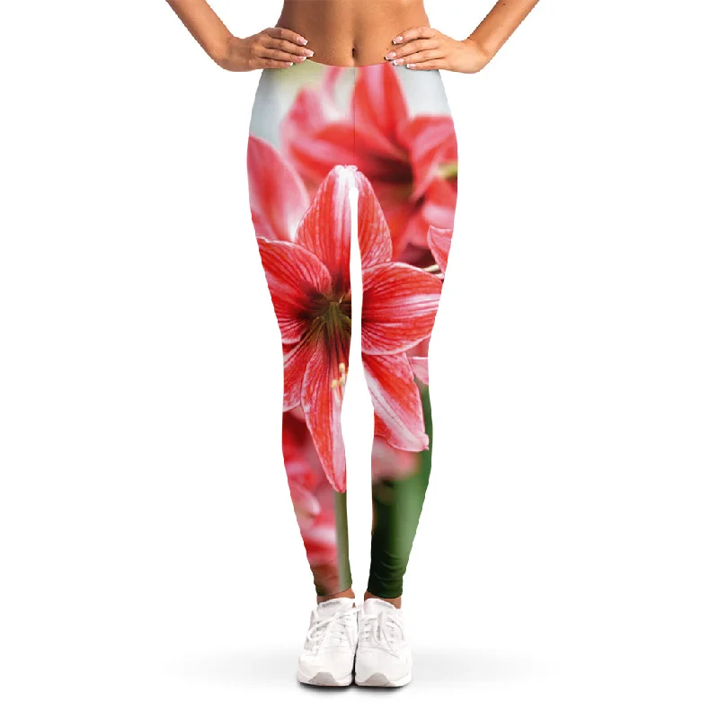 New Deals Amaryllis Flower Print Women's Leggings