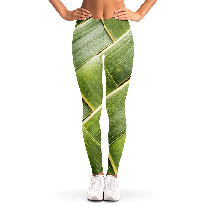 Coconut Leaf Print Women's Leggings